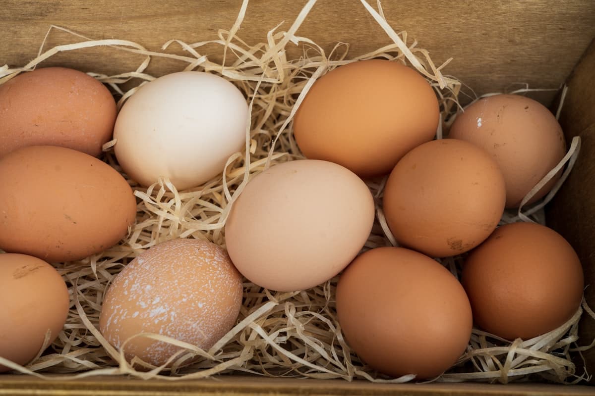 Fleisch und Eier: Warum sie so gesund sind und wie Sie sie in Ihre Ernährung einbauen