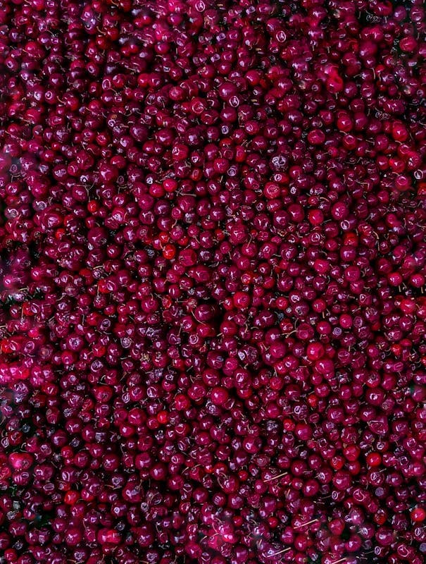 Harnwegsinfekt im Sommer: Vorbeugung und wann zum Arzt