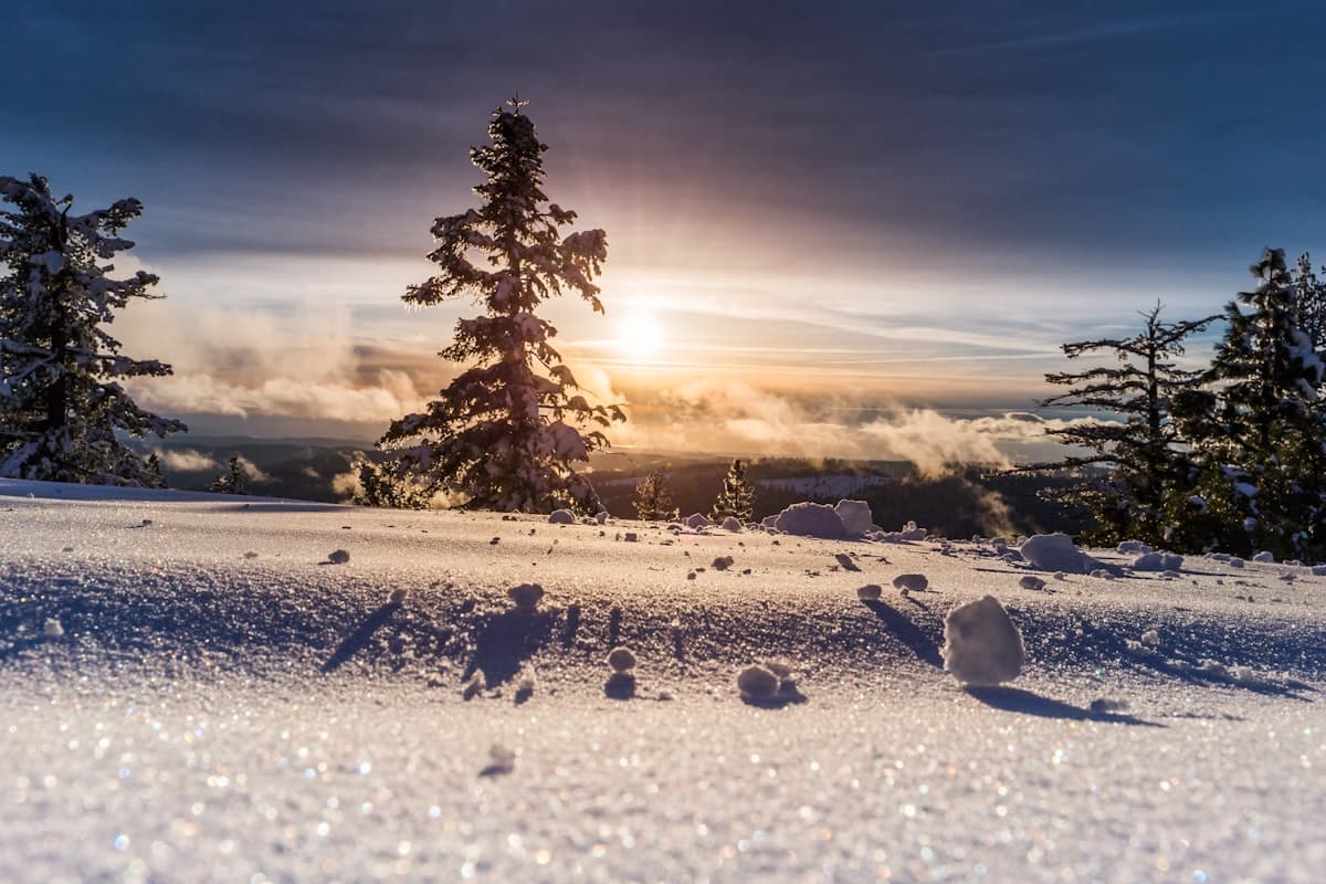 Winterenergie: Bewegung, Licht, Protein - Statt 5 Packungen Nahrungsergänzungsmittel